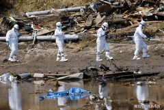 核辐射食物进入中国像入无人之境是里应外合的